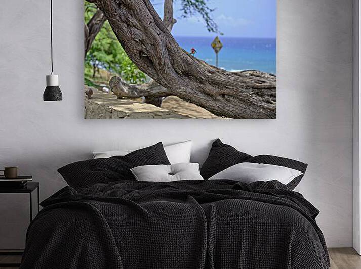 Hawaii Cardinal I by Kamara Studio   Ultra High Resolution Mural Prints