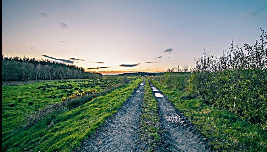 Irish Road by Massey Original