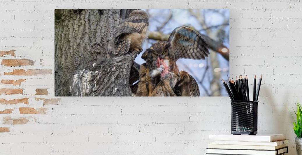 DSC 3765 by David Northall