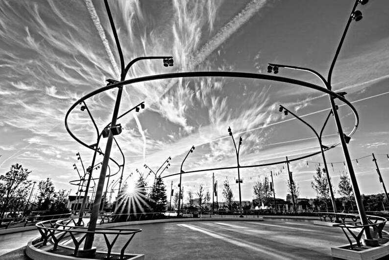 Omaha Skate Ribbon Morning Sunburst Grayscale by Jennifer White