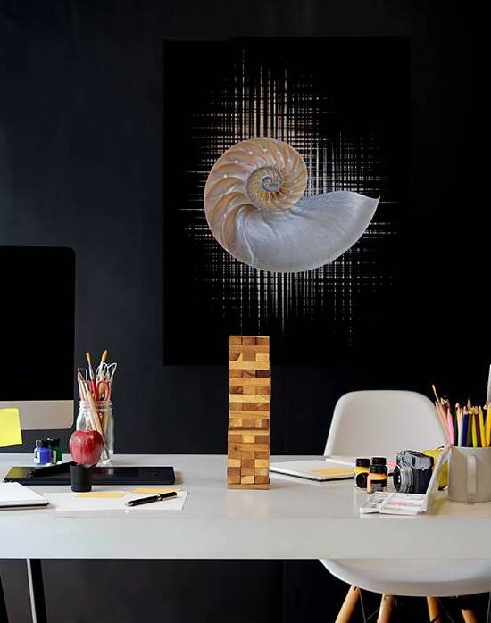 Nautilus Seashell Abstract Vertical by Gill Billington