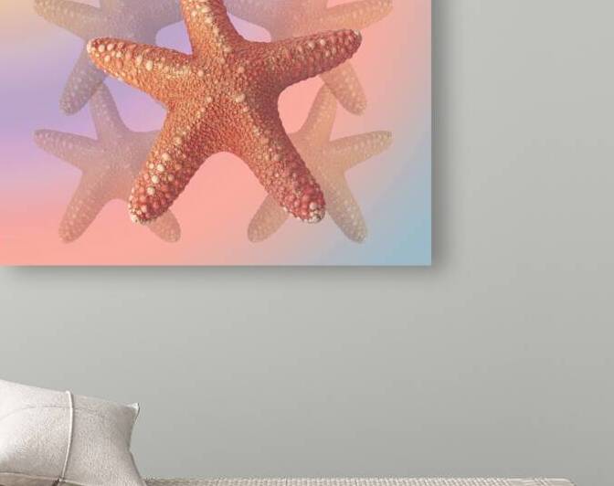 Sea Star Pastels by Gill Billington