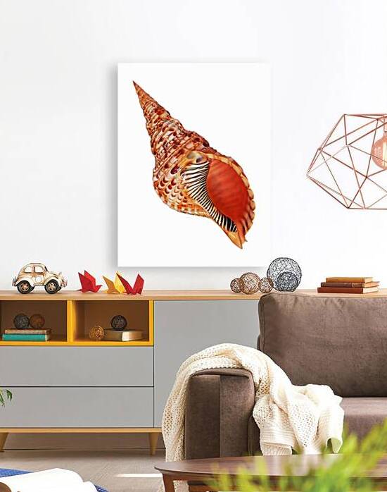Triton Shell On White Vertical by Gill Billington