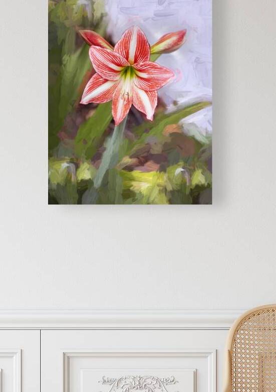 Sweet Lillian Amaryllis X1 1 by Rich Franco