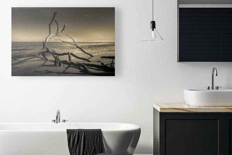 Hunting Island Beach Driftwood Shadows by Norma Brandsberg Photography