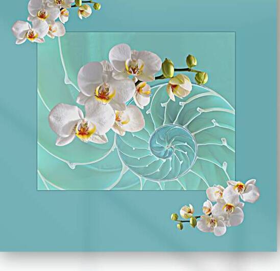 Turquoise Fusion by Gill Billington