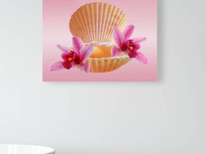 Clam Shell with Pink Orchids by Gill Billington