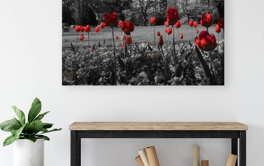 RED FLOWER by ahmed ramadan