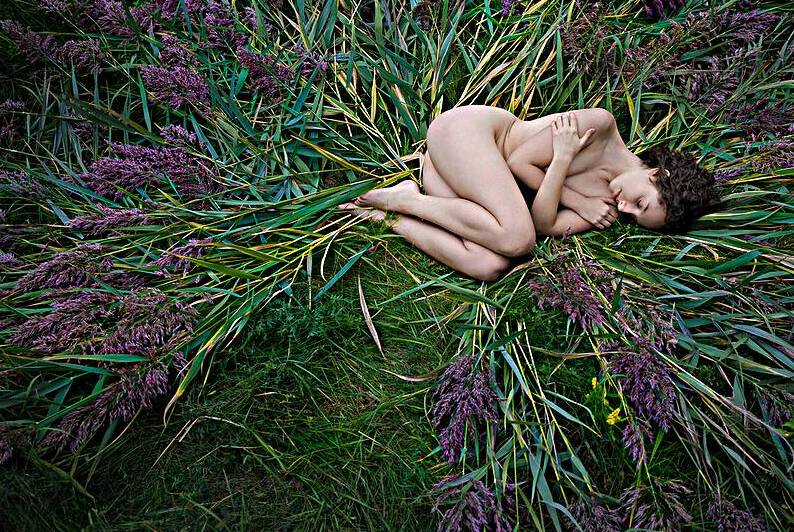 Symbiose by Claude Frenette