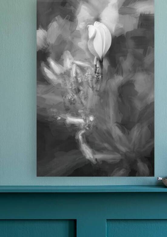 Plumeria Frangipani Hawaiian Flower X2 1 by Rich Franco