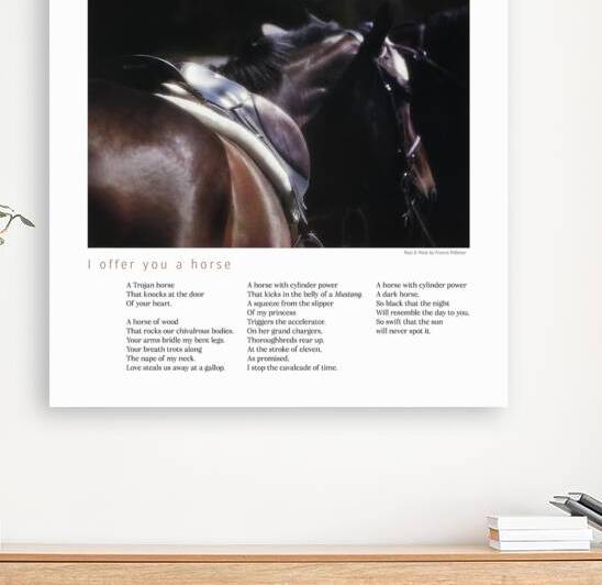 I OFFER YOU A HORSE by Francis Pelletier