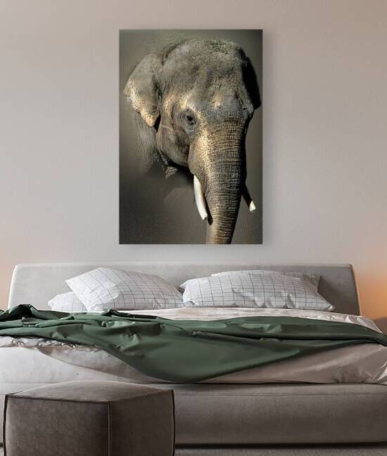 Enlarged  by B Zolle