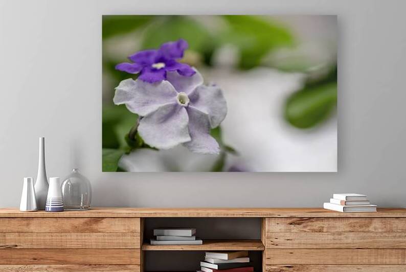 Mauve Melody 1 by Suzanne Bonin