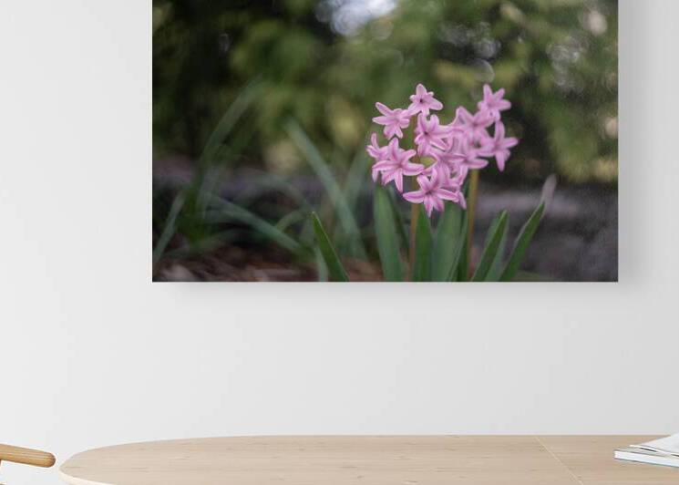 Pink Bliss by Suzanne Bonin