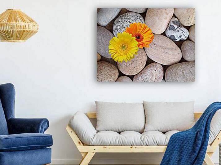 Sunshine Daisies and Pebbles On The Beach by Gill Billington