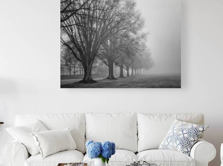 Trees in fog  by Ricky A Richardson 