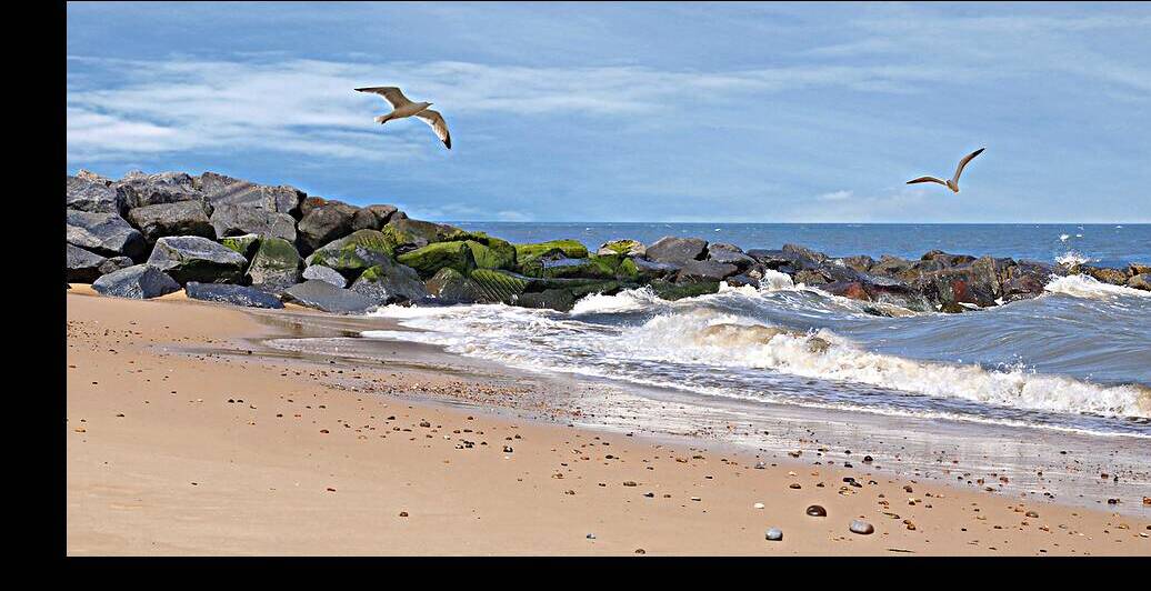 Summer Bliss - Coastal Panoramic by Gill Billington