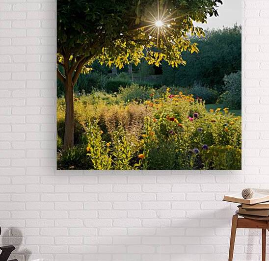 un jardin ensoleille avec des fleurs multicolores by addilah