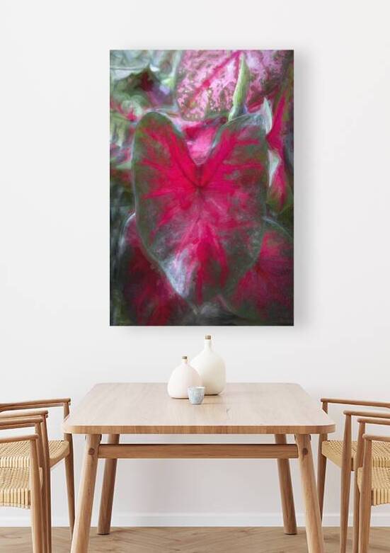 Red Caladium Plants Araceae  X100 by Rich Franco