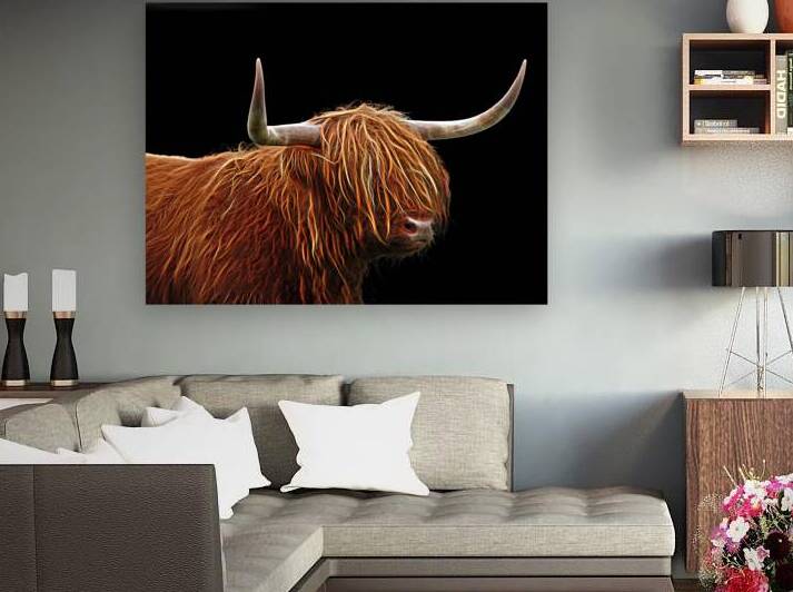 Bad Hair Day - Highland Cow on Black by Gill Billington