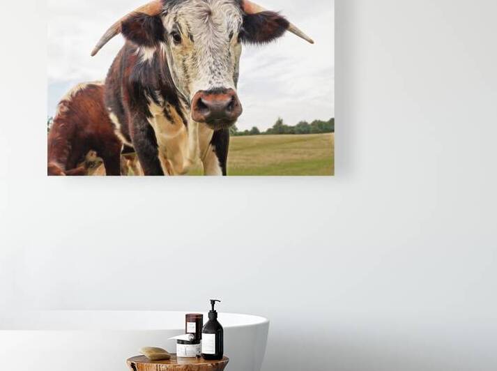 This is My Field by Gill Billington