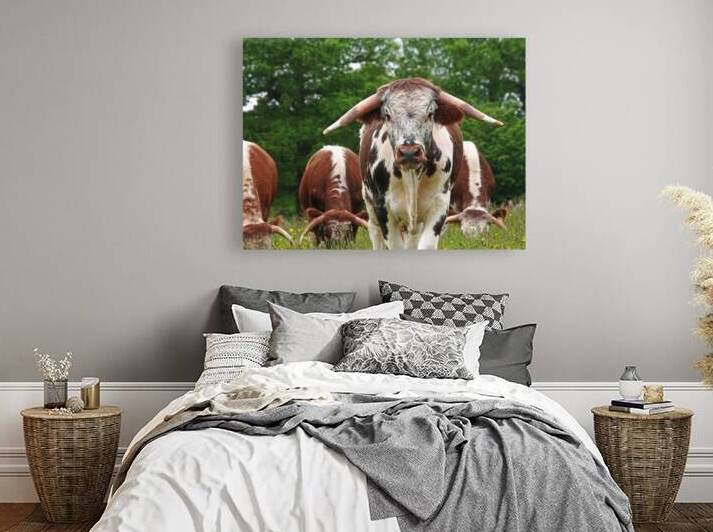 Im In Charge Here by Gill Billington