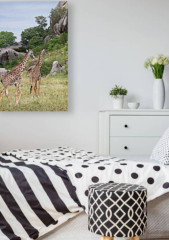 Giraffe Family in Africa by Gill Billington