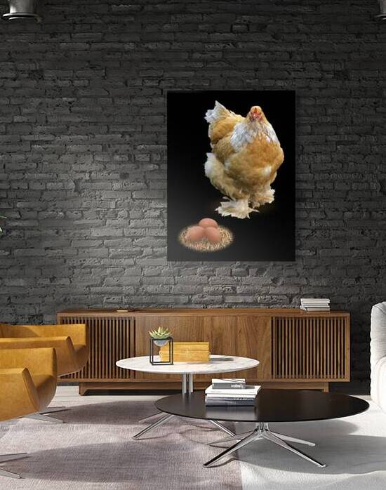 Which Came First - Chicken or Egg by Gill Billington