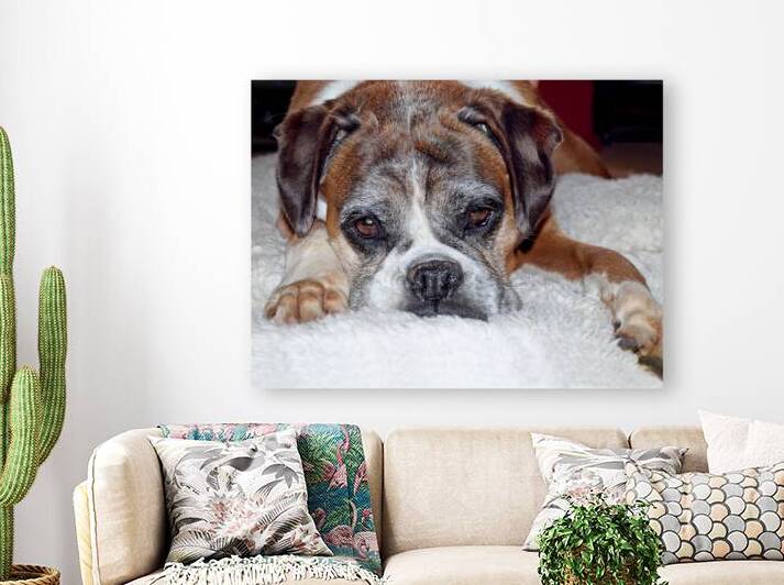 Please Let Me Stay by the Fire by Gill Billington