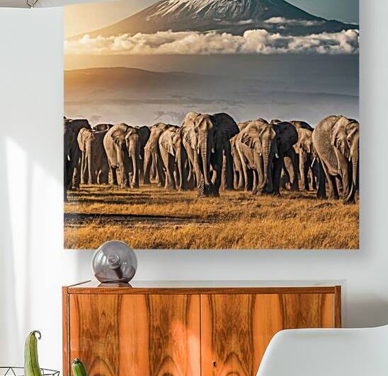 Elephants in the Savanna by dratef