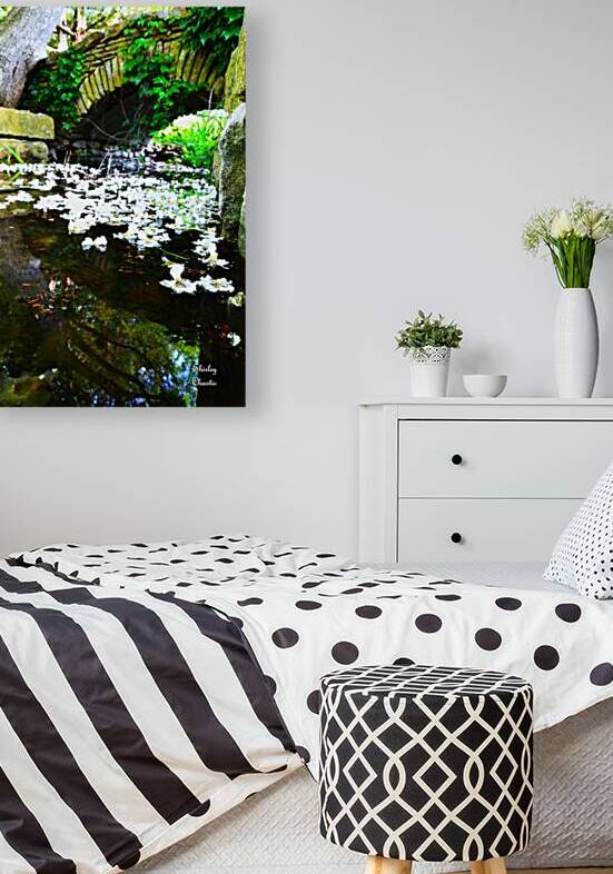 Mystical Entry  by Shirley Chaotic