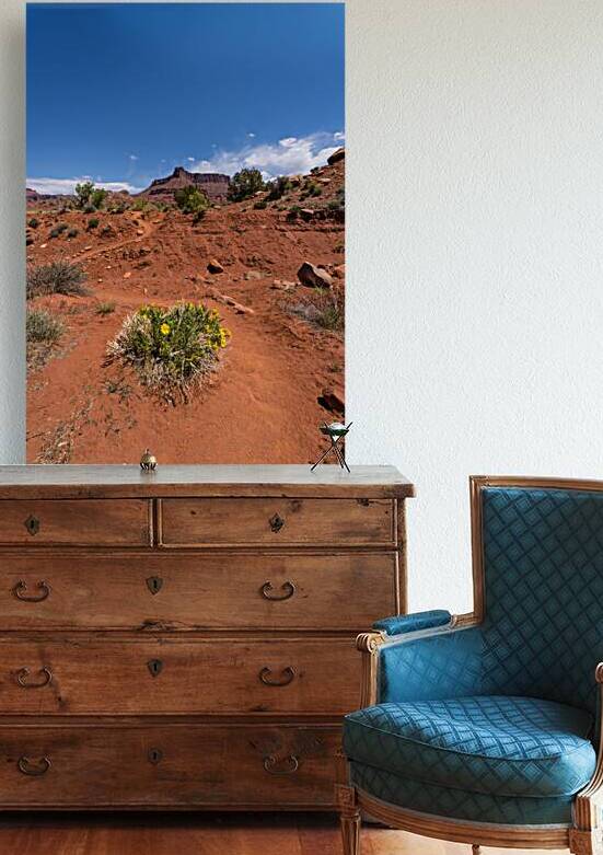 Yellow Daisies Along Professor Creek Hike by Jennifer White