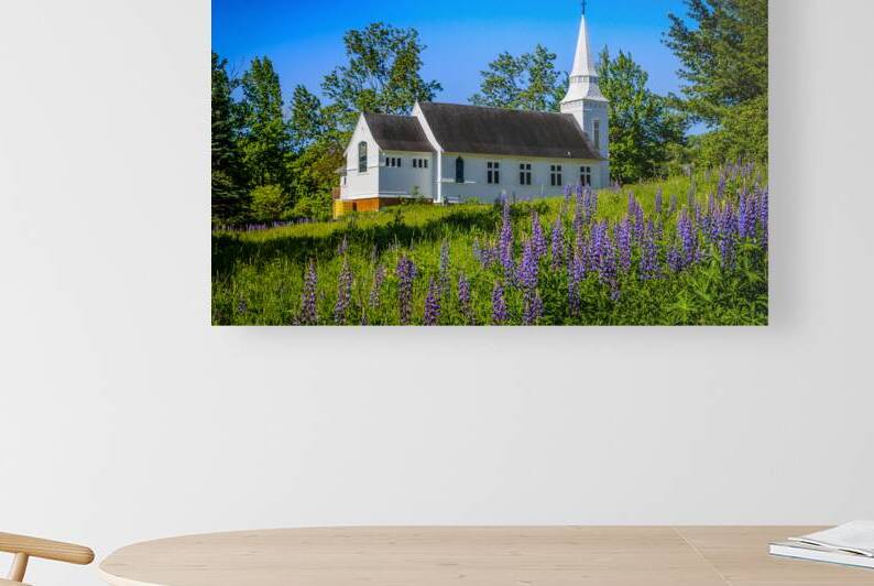 Lupine Symphony in Sugar Hill by Jeff Folger