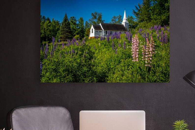Lupine Fields at Saint Matthews in Sugar Hill New Hampshire by Jeff Folger