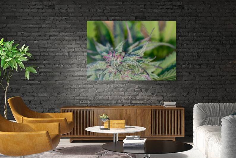 Outdoor Nuken by Heather Marie Clark