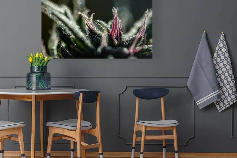 Glittering Nuken by Heather Marie Clark