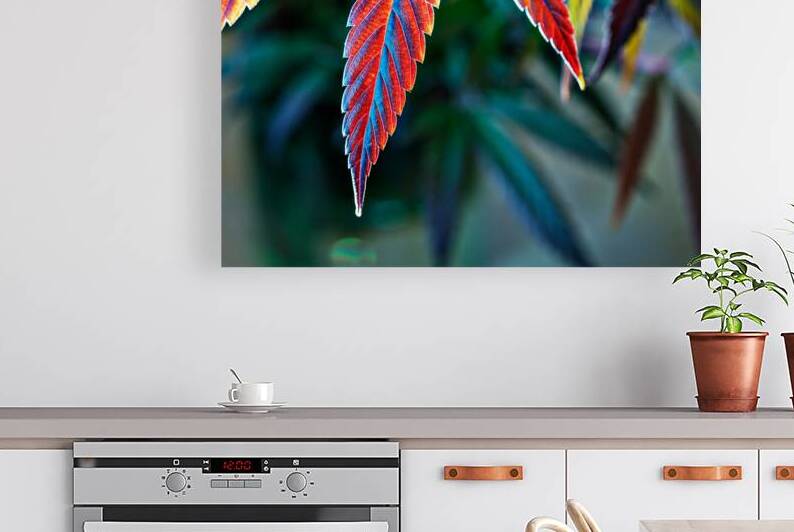 Techno color pot leaves by Heather Marie Clark