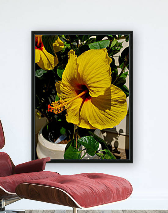 Spring Has Sprung by The NC Geek