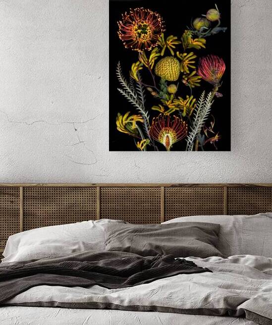 Protea and Kangaroo Paws by Jane Baron