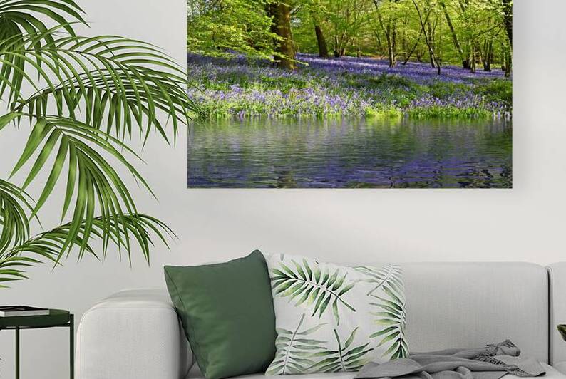 Bluebell Wood Reflections by Gill Billington