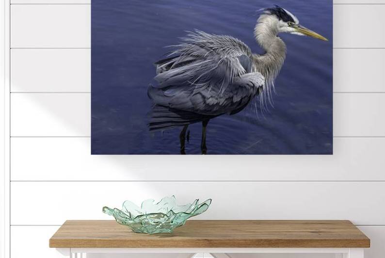 10003 Great Blue Heron Ardea herodias by John Gilsenan 