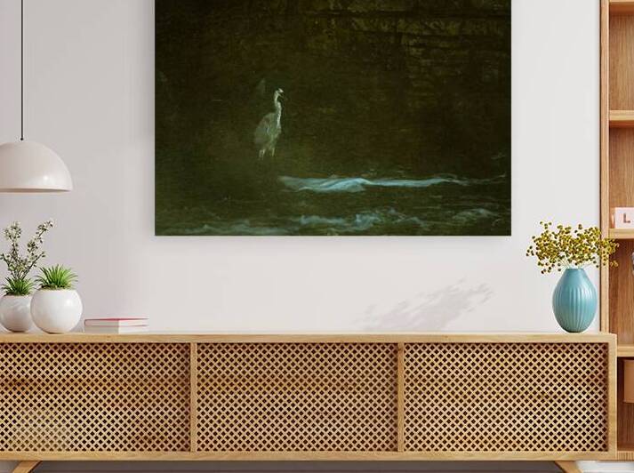 10617 Great Blue Heron Ardea herodias by John Gilsenan 