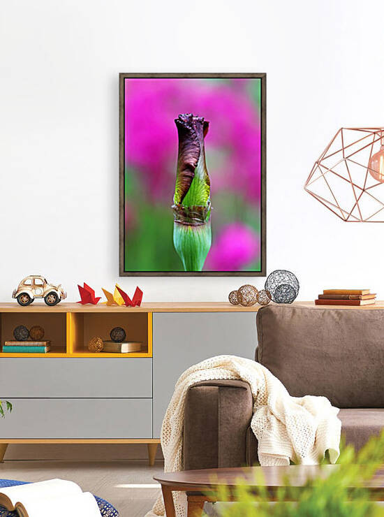 Butterscotch And Pink by Deb Oppermann