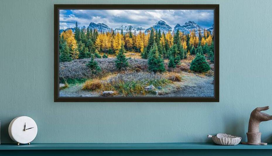 Majestic Larches by Geoffrey Prior