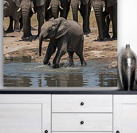 A lone elephant calf playfully splashing in a watering hole surrounded by a herd of watchful adults. by badryano