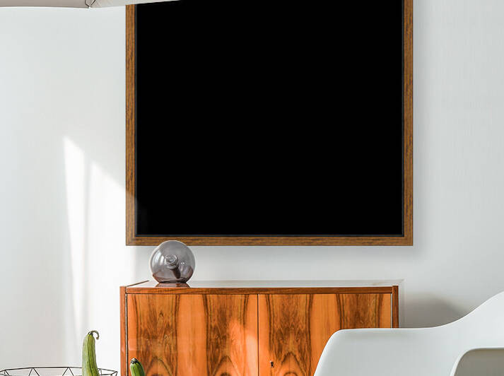 The United States Capitol by The NC Geek