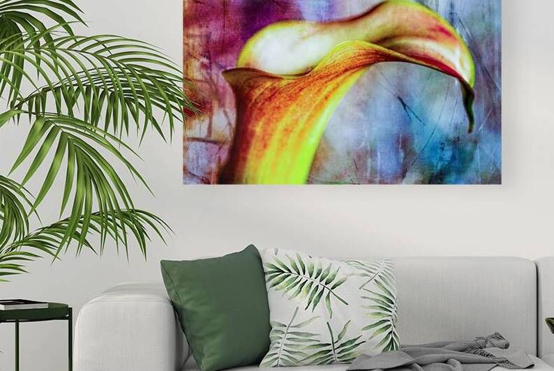 Yellow Calla Lilly by Heather Marie Clark