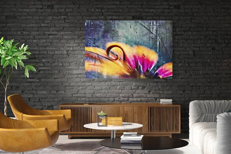 Vibrant African Daisy  by Heather Marie Clark