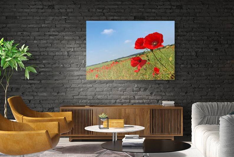 Poppy Fields 2 by Gill Billington