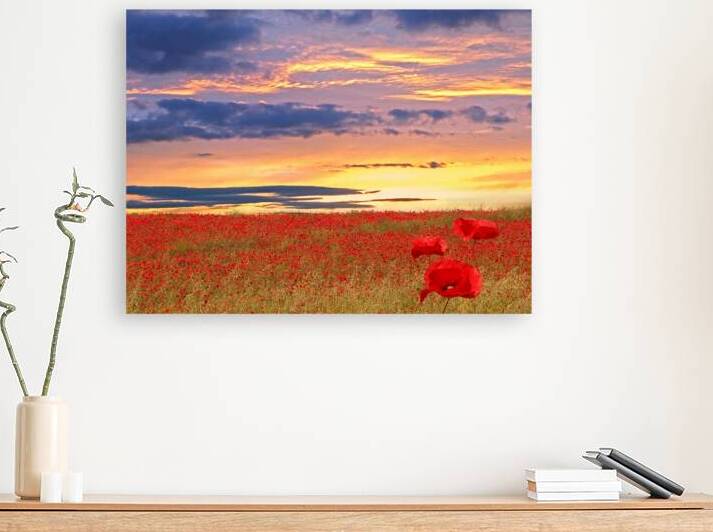Poppy Field At Sunset by Gill Billington